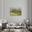 Europe, Italy, Tuscany. Vineyard in the Chianti Region of Tuscany-Julie Eggers-Photographic Print displayed on a wall