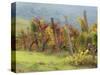 Europe, Italy, Tuscany. Vineyard in the Chianti Region of Tuscany-Julie Eggers-Stretched Canvas