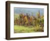 Europe, Italy, Tuscany. Vineyard in the Chianti Region of Tuscany-Julie Eggers-Framed Photographic Print