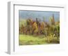 Europe, Italy, Tuscany. Vineyard in the Chianti Region of Tuscany-Julie Eggers-Framed Photographic Print