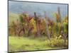 Europe, Italy, Tuscany. Vineyard in the Chianti Region of Tuscany-Julie Eggers-Mounted Photographic Print