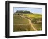 Europe, Italy, Tuscany. Vineyard in the Chianti Region of Tuscany-Julie Eggers-Framed Photographic Print