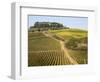 Europe, Italy, Tuscany. Vineyard in the Chianti Region of Tuscany-Julie Eggers-Framed Photographic Print