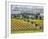 Europe, Italy, Tuscany. Vineyards and Olive Trees in Autumn-Julie Eggers-Framed Photographic Print