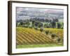 Europe, Italy, Tuscany. Vineyards and Olive Trees in Autumn-Julie Eggers-Framed Photographic Print