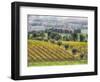 Europe, Italy, Tuscany. Vineyards and Olive Trees in Autumn-Julie Eggers-Framed Photographic Print