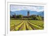 Europe, Italy, vineyards in Franciacorta, province of Brescia.-ClickAlps-Framed Photographic Print