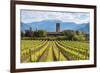 Europe, Italy, vineyards in Franciacorta, province of Brescia.-ClickAlps-Framed Photographic Print