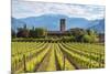 Europe, Italy, vineyards in Franciacorta, province of Brescia.-ClickAlps-Mounted Photographic Print