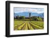 Europe, Italy, vineyards in Franciacorta, province of Brescia.-ClickAlps-Framed Photographic Print