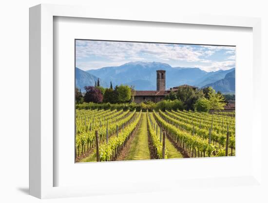 Europe, Italy, vineyards in Franciacorta, province of Brescia.-ClickAlps-Framed Photographic Print