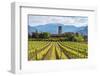 Europe, Italy, vineyards in Franciacorta, province of Brescia.-ClickAlps-Framed Photographic Print