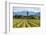 Europe, Italy, vineyards in Franciacorta, province of Brescia.-ClickAlps-Framed Photographic Print