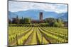 Europe, Italy, vineyards in Franciacorta, province of Brescia.-ClickAlps-Mounted Photographic Print