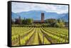 Europe, Italy, vineyards in Franciacorta, province of Brescia.-ClickAlps-Framed Stretched Canvas