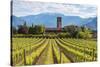 Europe, Italy, vineyards in Franciacorta, province of Brescia.-ClickAlps-Stretched Canvas