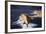 Europe, Maltese Islands, Gozo. Dramatic Scenery in Dwejra.-Ken Scicluna-Framed Photographic Print