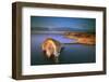 Europe, Maltese Islands, Gozo. Dramatic Scenery in Dwejra-Ken Scicluna-Framed Photographic Print