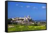 Europe, Maltese Islands, Malta. the Old Capital of Mdina with the Cathedral Dominating the Skyline.-Ken Scicluna-Framed Stretched Canvas