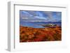 Europe, Norway, Nordnorwegen-Bernd Rommelt-Framed Photographic Print