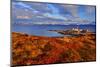 Europe, Norway, Nordnorwegen-Bernd Rommelt-Mounted Photographic Print