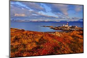 Europe, Norway, Nordnorwegen-Bernd Rommelt-Mounted Photographic Print