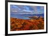 Europe, Norway, Nordnorwegen-Bernd Rommelt-Framed Photographic Print