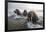 Europe, Norway, Svalbard. Walruses Emerge from the Sea-Jaynes Gallery-Framed Photographic Print