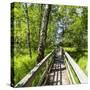 Europe, Poland, Lublin Voivodeship, Polesie National Park-Mikolaj Gospodarek-Stretched Canvas