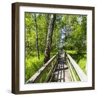 Europe, Poland, Lublin Voivodeship, Polesie National Park-Mikolaj Gospodarek-Framed Photographic Print