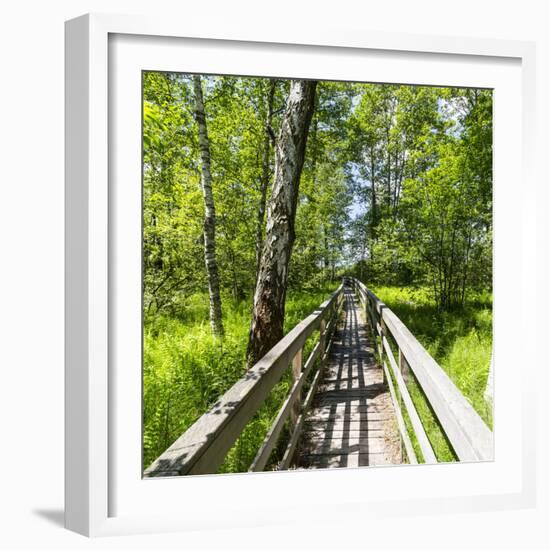 Europe, Poland, Lublin Voivodeship, Polesie National Park-Mikolaj Gospodarek-Framed Photographic Print