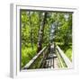 Europe, Poland, Lublin Voivodeship, Polesie National Park-Mikolaj Gospodarek-Framed Photographic Print