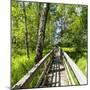 Europe, Poland, Lublin Voivodeship, Polesie National Park-Mikolaj Gospodarek-Mounted Photographic Print