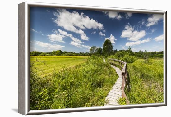 Europe, Poland, Lublin Voivodeship, Polesie National Park-Mikolaj Gospodarek-Framed Photographic Print