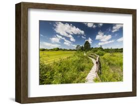 Europe, Poland, Lublin Voivodeship, Polesie National Park-Mikolaj Gospodarek-Framed Photographic Print