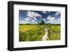 Europe, Poland, Lublin Voivodeship, Polesie National Park-Mikolaj Gospodarek-Framed Photographic Print