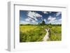 Europe, Poland, Lublin Voivodeship, Polesie National Park-Mikolaj Gospodarek-Framed Photographic Print