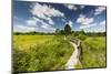 Europe, Poland, Lublin Voivodeship, Polesie National Park-Mikolaj Gospodarek-Mounted Photographic Print