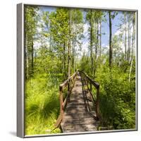 Europe, Poland, Lublin Voivodeship, Polesie National Park-Mikolaj Gospodarek-Framed Photographic Print