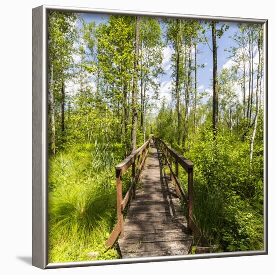 Europe, Poland, Lublin Voivodeship, Polesie National Park-Mikolaj Gospodarek-Framed Photographic Print