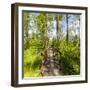 Europe, Poland, Lublin Voivodeship, Polesie National Park-Mikolaj Gospodarek-Framed Photographic Print