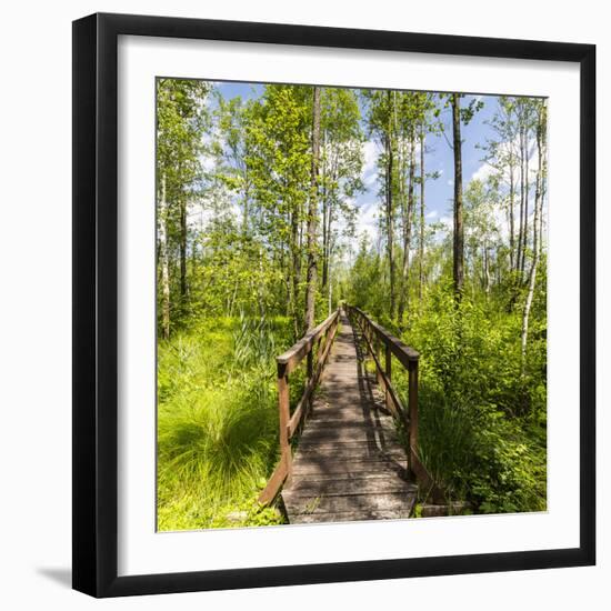 Europe, Poland, Lublin Voivodeship, Polesie National Park-Mikolaj Gospodarek-Framed Photographic Print