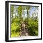 Europe, Poland, Lublin Voivodeship, Polesie National Park-Mikolaj Gospodarek-Framed Photographic Print