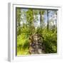 Europe, Poland, Lublin Voivodeship, Polesie National Park-Mikolaj Gospodarek-Framed Photographic Print