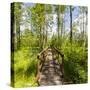 Europe, Poland, Lublin Voivodeship, Polesie National Park-Mikolaj Gospodarek-Stretched Canvas