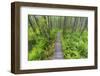 Europe, Poland, Lublin Voivodeship, Polesie National Park-Mikolaj Gospodarek-Framed Photographic Print