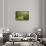 Europe, Poland, Lublin Voivodeship, Polesie National Park-Mikolaj Gospodarek-Framed Stretched Canvas displayed on a wall