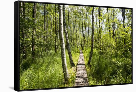 Europe, Poland, Lublin Voivodeship, Polesie National Park-Mikolaj Gospodarek-Framed Stretched Canvas