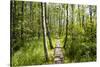 Europe, Poland, Lublin Voivodeship, Polesie National Park-Mikolaj Gospodarek-Stretched Canvas