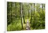 Europe, Poland, Lublin Voivodeship, Polesie National Park-Mikolaj Gospodarek-Framed Photographic Print